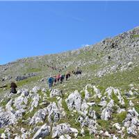 E05 - Monte Bulgheria