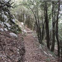 E06 - Monte Bulgheria 