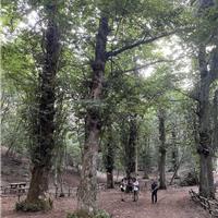 E06 - Monte Bulgheria 