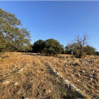 E06 - Monte Bulgheria 