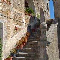 F01 -  Oasi WWF di Morigerati