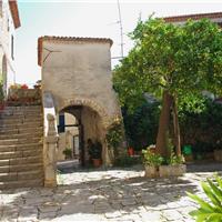 F01 -  Oasi WWF di Morigerati