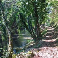 F01 -  Oasi WWF di Morigerati