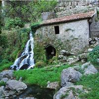 F01 -  Oasi WWF di Morigerati