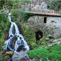 F01 -  Oasi WWF di Morigerati