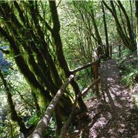 F01 -  Oasi WWF di Morigerati