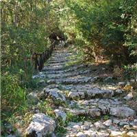 F01 -  Oasi WWF di Morigerati