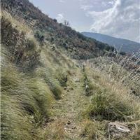 G02 - Sentiero della tragara e sentiero degli 