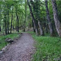 S05 - Cascate dei capelli di Venere