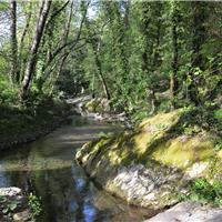 S05 - Cascate dei capelli di Venere