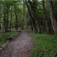 S05 - Cascate dei capelli di Venere