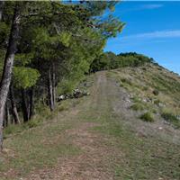 S07 - San Giovanni a Piro