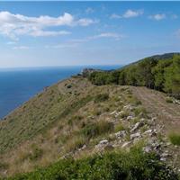 S07 - San Giovanni a Piro