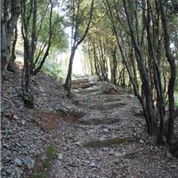 S07 - San Giovanni a Piro