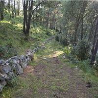 S07 - San Giovanni a Piro