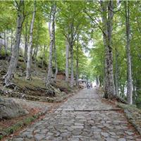 E01 - Monte Gelbison 