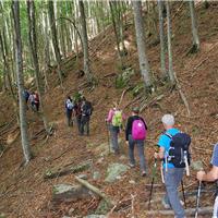 E01 - Monte Gelbison 