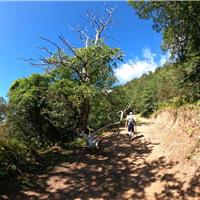 E01 - Monte Gelbison 