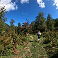 E01 - Monte Gelbison 