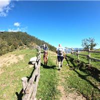 E01 - Monte Gelbison 