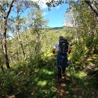 E01 - Monte Gelbison 