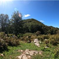 E01 - Monte Gelbison 