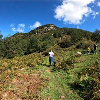 E01 - Monte Gelbison 