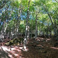 E01 - Monte Gelbison 