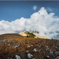 C01 - Anello basso del Bulgheria (11/09)