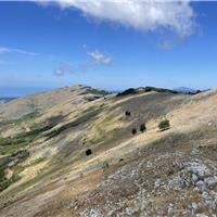 C01 - Anello basso del Bulgheria (11/09)