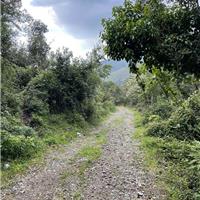 C01 - Anello basso del Bulgheria (11/09)